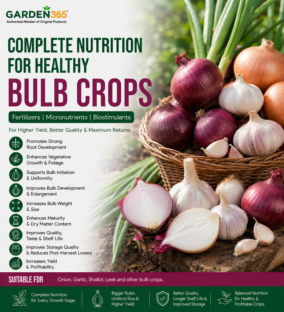 Bulb Crop Nutrition | Fertilizers, Micronutrients & Biostimulants for Bulb Crops