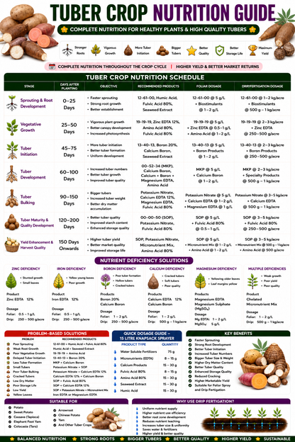 Tuber Crop Nutrition | Fertilizers, Micronutrients & Biostimulants for Tuber Crops
