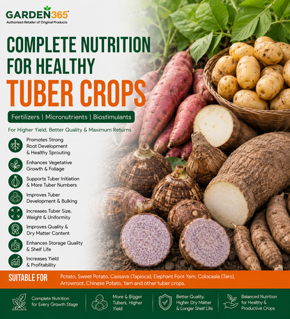Tuber Crop Nutrition | Fertilizers, Micronutrients & Biostimulants for Tuber Crops