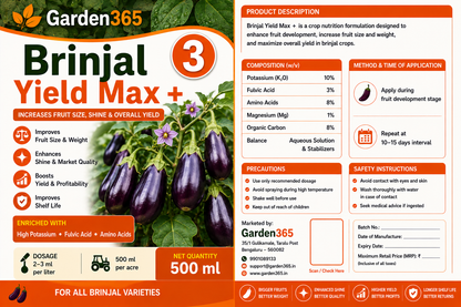 Brinjal Yield Booster Kit – Brinjal 1 Growth Booster+ | Brinjal 2 Flower Booster+ | Brinjal 3 Yield Max+ for Higher Yield, Fruit Size & Quality