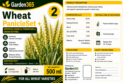 Wheat Yield Booster Kit – Wheat 1 TillerMax+ | Wheat 2 PanicleSet+ | Wheat 3 GrainFill+ for Strong Tillering, Better Panicle Formation, Improved Grain Filling, Higher Yield & Grain Quality