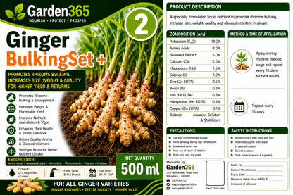 Ginger Yield Booster Kit – Ginger 1 GrowthMax+ | Ginger 2 BulkingSet+ | Ginger 3 Yield Max+ for Higher Rhizome Yield, Better Size, Improved Oleoresin Content & Premium Ginger Quality