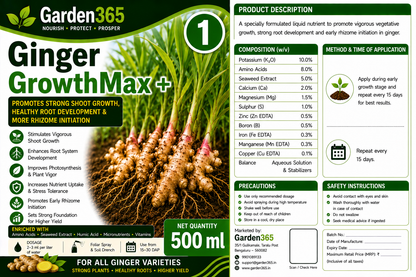 Ginger Yield Booster Kit – Ginger 1 GrowthMax+ | Ginger 2 BulkingSet+ | Ginger 3 Yield Max+ for Higher Rhizome Yield, Better Size, Improved Oleoresin Content & Premium Ginger Quality