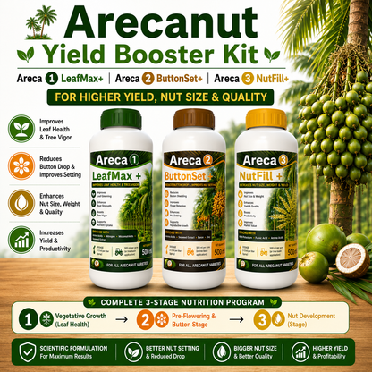 Arecanut Yield Booster Kit – Areca 1 LeafMax+ | Areca 2 ButtonSet+ | Areca 3 NutFill+ for Higher Yield, Nut Size & Quality