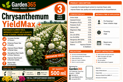 Chrysanthemum Yield Booster Kit – Chrysanthemum 1 BranchMax+ | Chrysanthemum 2 FlowerSet+ | Chrysanthemum 3 YieldMax+ for Higher Flower Yield, Better Bloom Size & Premium Flower Quality