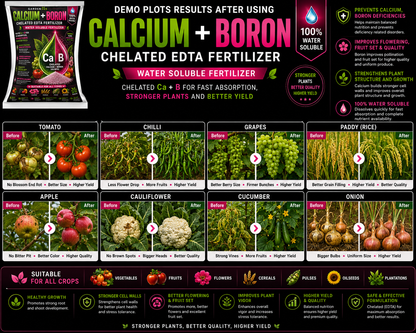 Calcium Boron Chelated (EDTA) – Water Soluble Micronutrient Fertilizer for Flowering, Fruit Set & Strong Cell Structure