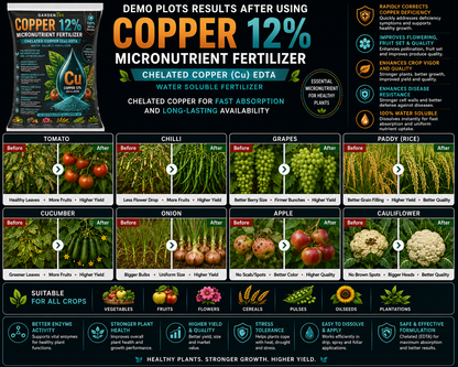 Copper EDTA 12% – Chelated Copper Micronutrient Fertilizer for Strong Growth & Disease Resistance