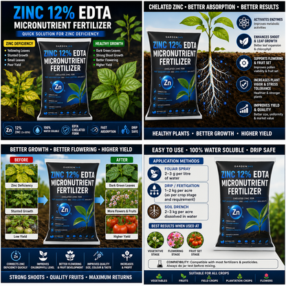 Zinc EDTA 12% – Chelated Zinc Micronutrient Fertilizer for Healthy Growth & Higher Yield