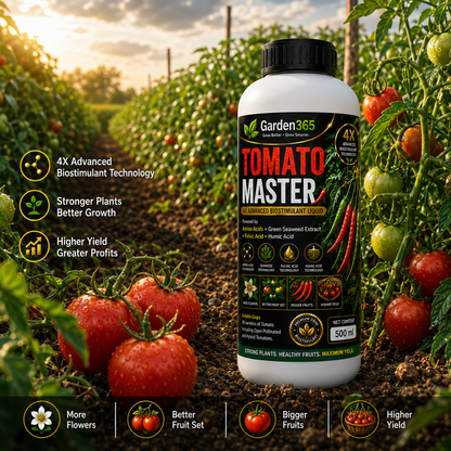 Tomato Master – 4X Advanced Biostimulant Liquid Powered by Amino Acids, Green Seaweed Extract, Fulvic Acid & Humic Acid for Tomato Growth, Flowering, Fruit Set, Yield & Quality