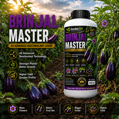 Brinjal Master – 4X Advanced Biostimulant Liquid Powered by Amino Acids, Green Seaweed Extract, Fulvic Acid & Humic Acid for Brinjal Growth, Flowering, Fruit Set, Yield & Quality