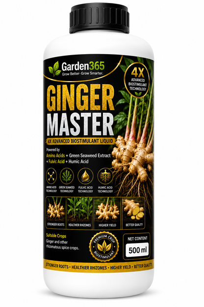 Ginger Master – 4X Advanced Biostimulant Liquid Powered by Amino Acids, Green Seaweed Extract, Fulvic Acid & Humic Acid for Ginger Growth, Rhizome Development, Yield & Quality