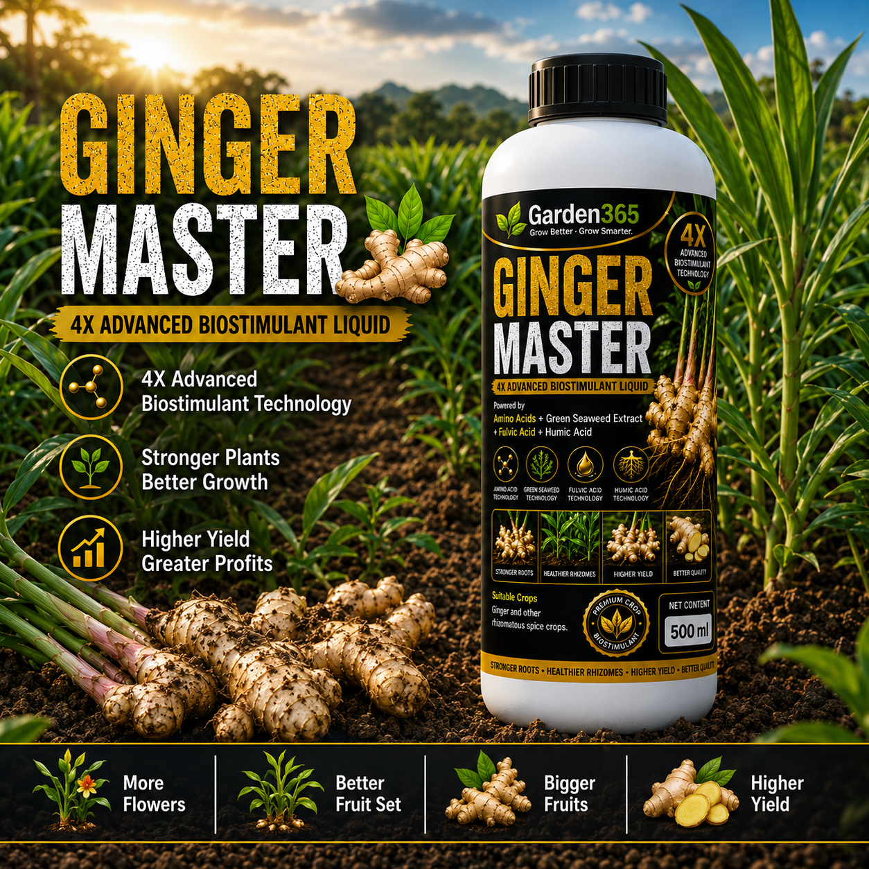 Ginger Master – 4X Advanced Biostimulant Liquid Powered by Amino Acids, Green Seaweed Extract, Fulvic Acid & Humic Acid for Ginger Growth, Rhizome Development, Yield & Quality