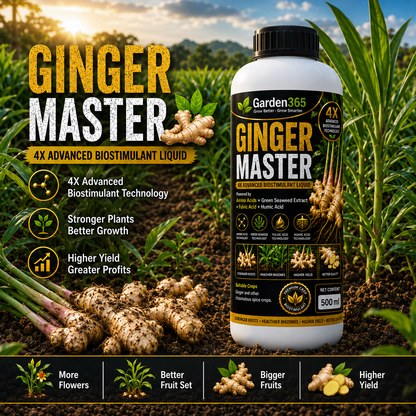 Ginger Master – 4X Advanced Biostimulant Liquid Powered by Amino Acids, Green Seaweed Extract, Fulvic Acid & Humic Acid for Ginger Growth, Rhizome Development, Yield & Quality
