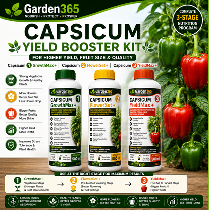 Capsicum Yield Booster Kit – Capsicum 1 GrowthMax+ | Capsicum 2 FlowerSet+ | Capsicum 3 YieldMax+ for Higher Yield, Fruit Size & Quality