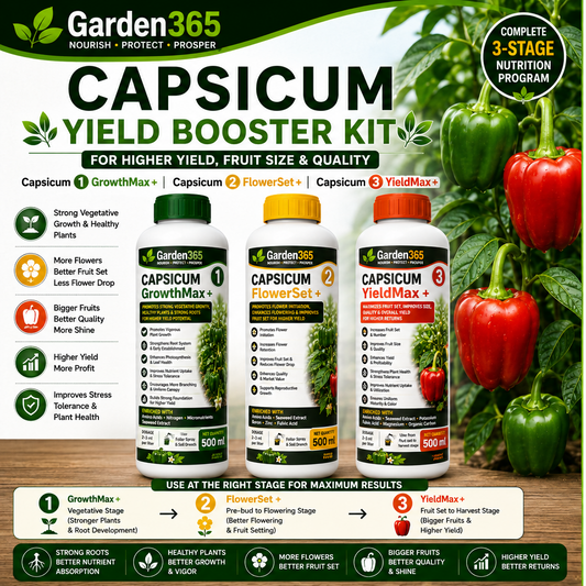 Capsicum Yield Booster Kit – Capsicum 1 GrowthMax+ | Capsicum 2 FlowerSet+ | Capsicum 3 YieldMax+ for Higher Yield, Fruit Size & Quality