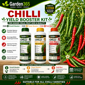 Chilli Yield Booster Kit – Chilli 1 Growth Booster+ | Chilli 2 Flower Booster+ | Chilli 3 Yield Max+ for Higher Yield, Fruit Size & Quality