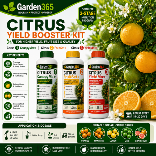 Citrus Yield Booster Kit – Citrus 1 CanopyMax+ | Citrus 2 FruitSet+ | Citrus 3 YieldMax+ for Higher Yield, Fruit Size & Quality