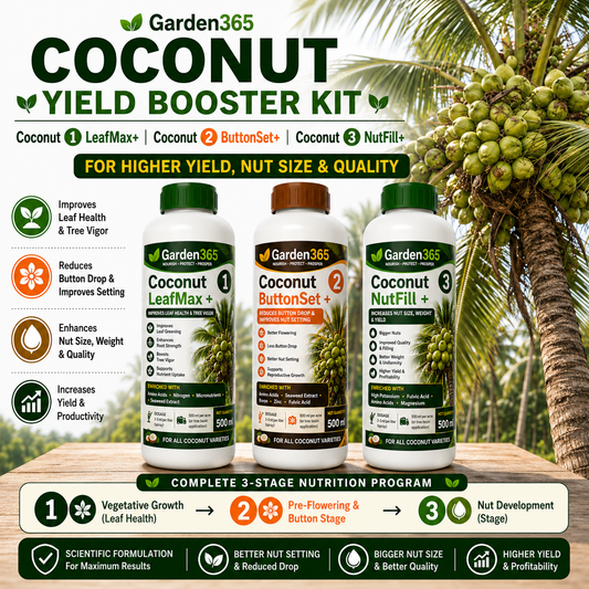 Coconut Yield Booster Kit – Coconut 1 LeafMax+ | Coconut 2 ButtonSet+ | Coconut 3 NutFill+ for Higher Yield, Nut Size & Quality
