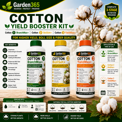 Cotton Yield Booster Kit – Cotton 1 BranchMax+ | Cotton 2 BollSet+ | Cotton 3 YieldMax+ for Higher Yield, Boll Size & Fiber Quality