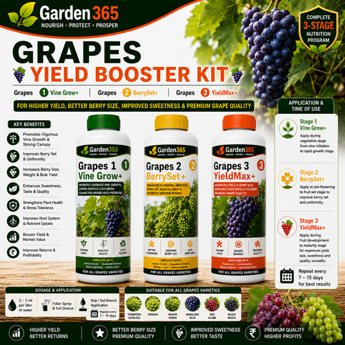 Grapes Yield Booster Kit – Grapes 1 Vine Grow+ | Grapes 2 BerrySet+ | Grapes 3 YieldMax+ for Higher Yield, Better Berry Size, Improved Sweetness & Premium Grape Quality