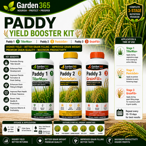 Paddy Yield Booster Kit – Paddy 1 TillerMax+ | Paddy 2 PanicleSet+ | Paddy 3 GrainFill+ for Higher Yield, Better Grain Filling, Improved Grain Weight & Maximum Productivity