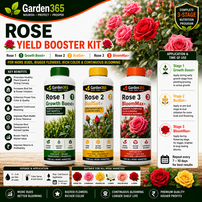 Rose Yield Booster Kit – Rose 1 Growth Boost+ | Rose 2 BudSet+ | Rose 3 BloomMax+ for More Buds, Bigger Flowers, Rich Color & Continuous Blooming