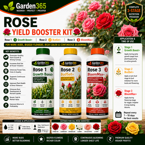 Rose Yield Booster Kit – Rose 1 Growth Boost+ | Rose 2 BudSet+ | Rose 3 BloomMax+ for More Buds, Bigger Flowers, Rich Color & Continuous Blooming