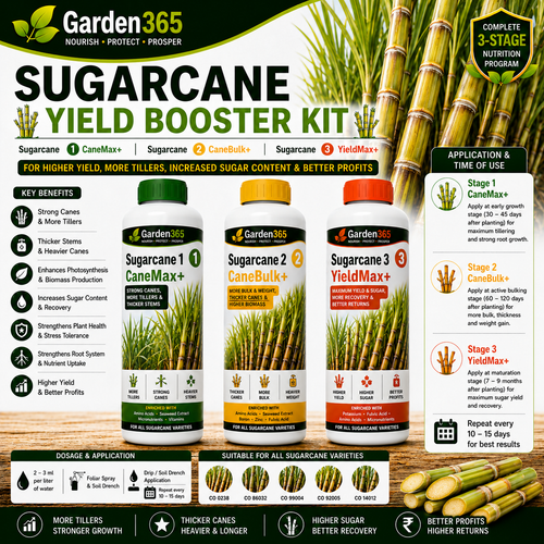Sugarcane Yield Booster Kit – Sugarcane 1 CaneMax+ | Sugarcane 2 CaneBulk+ | Sugarcane 3 YieldMax+ for Higher Yield, More Tillers, Increased Sugar Recovery & Better Profits