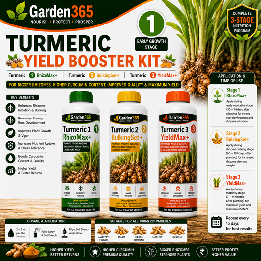 Turmeric Yield Booster Kit – Turmeric 1 RhizoMax+ | Turmeric 2 BulkingSet+ | Turmeric 3 Yield Max+ for Bigger Rhizomes, Higher Curcumin Content, Improved Quality & Maximum Yield