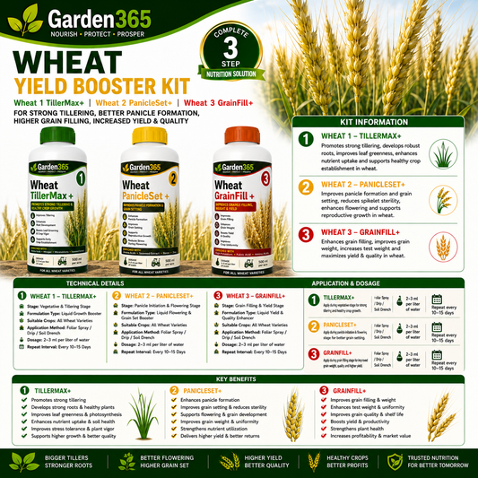 Wheat Yield Booster Kit – Wheat 1 TillerMax+ | Wheat 2 PanicleSet+ | Wheat 3 GrainFill+ for Strong Tillering, Better Panicle Formation, Improved Grain Filling, Higher Yield & Grain Quality