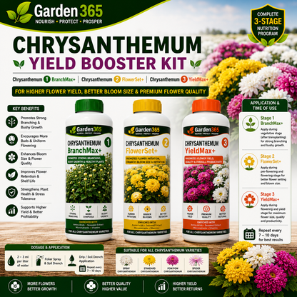 Chrysanthemum Yield Booster Kit – Chrysanthemum 1 BranchMax+ | Chrysanthemum 2 FlowerSet+ | Chrysanthemum 3 YieldMax+ for Higher Flower Yield, Better Bloom Size & Premium Flower Quality