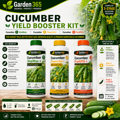 Cucumber Yield Booster Kit – Cucumber 1 VineMax+ | Cucumber 2 FlowerSet+ | Cucumber 3 FruitFill+ for Higher Yield, Better Fruit Size, Improved Quality & Premium Marketable Cucumbers