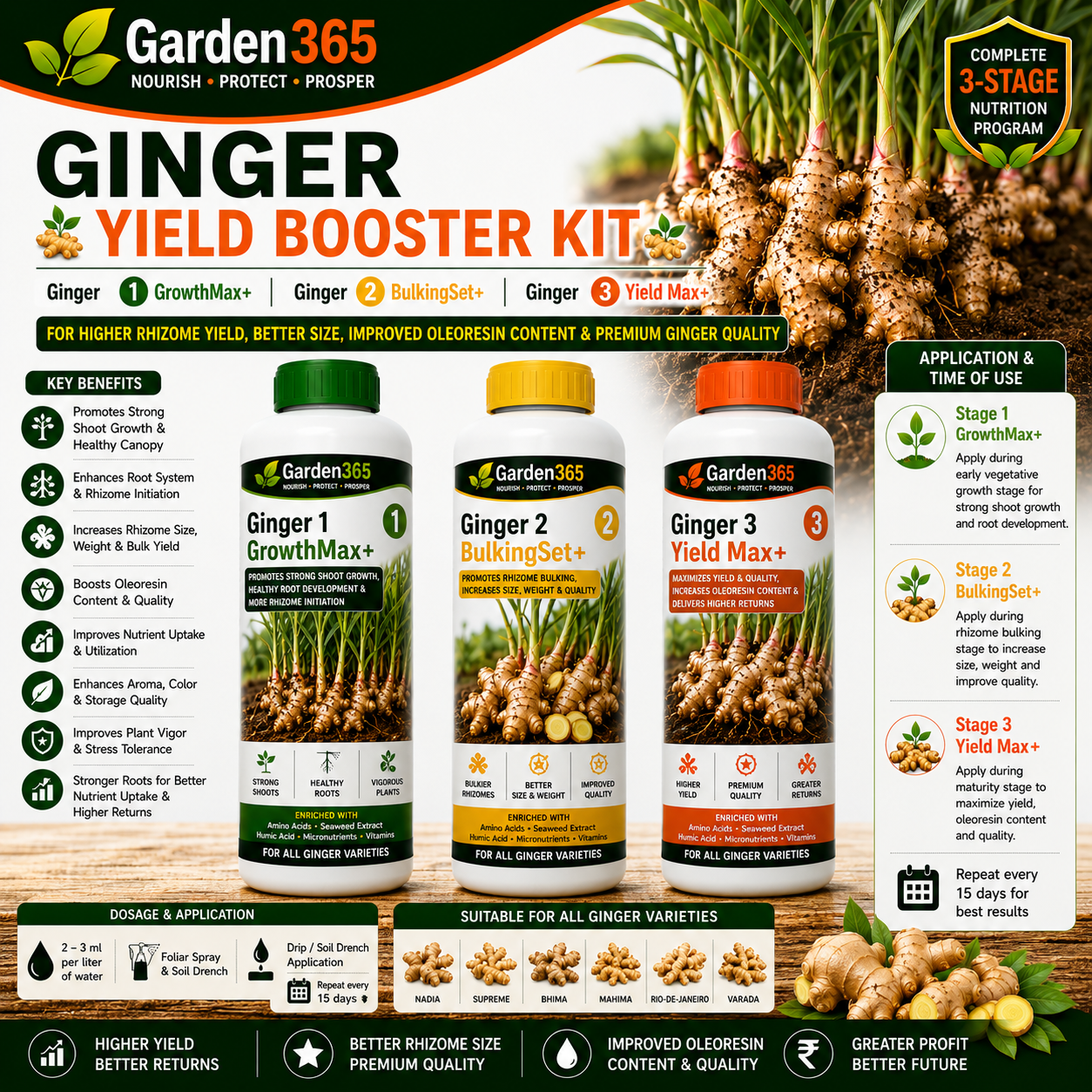 Ginger Yield Booster Kit – Ginger 1 GrowthMax+ | Ginger 2 BulkingSet+ | Ginger 3 Yield Max+ for Higher Rhizome Yield, Better Size, Improved Oleoresin Content & Premium Ginger Quality