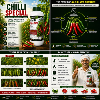 Chilli Special – 6X Chelated Micronutrient Liquid with EDTA Chelated Zn + Fe + Mn + Cu + B + Mo for Vigorous Growth, Better Flowering, Higher Fruit Set, Improved Pungency, Yield & Quality
