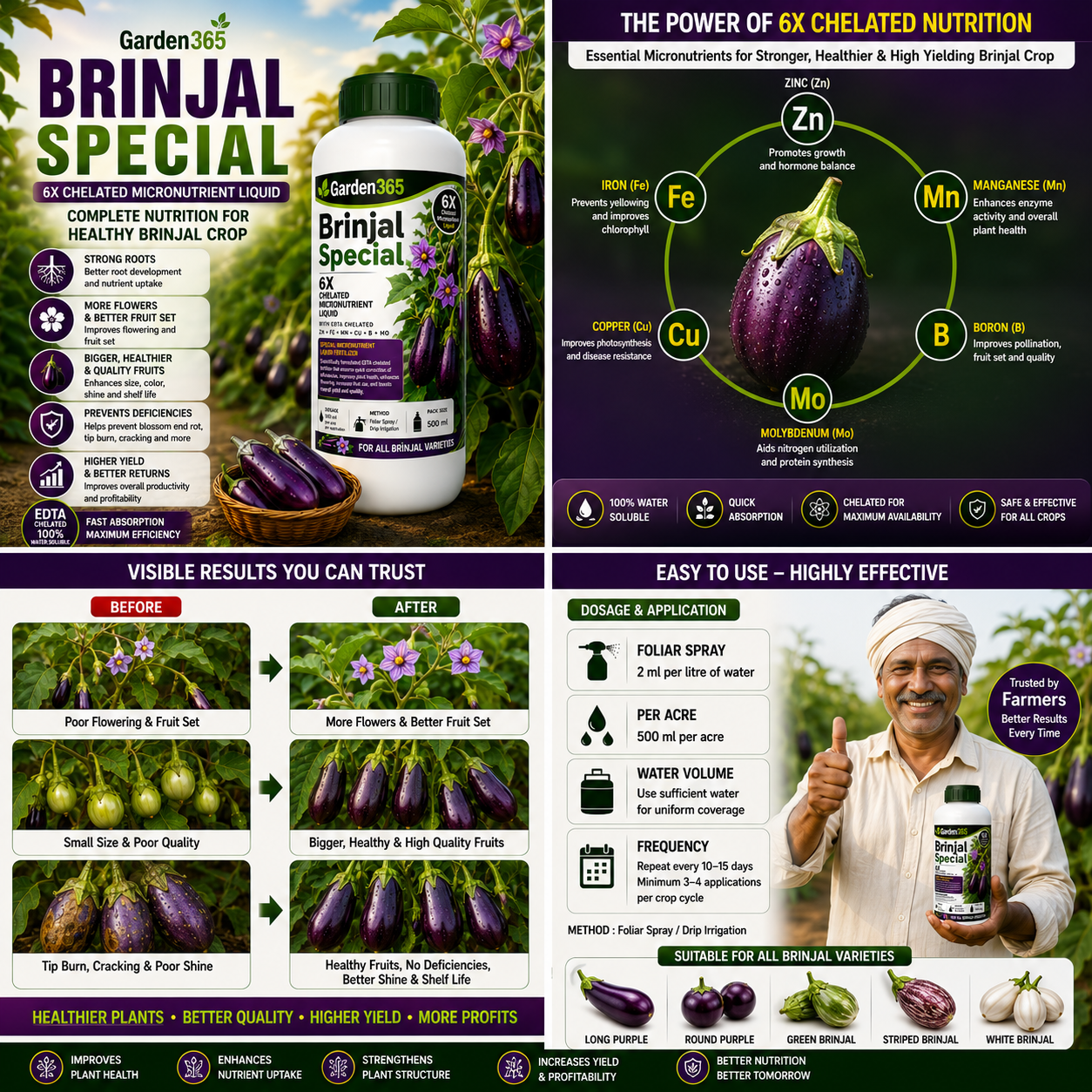 Brinjal Special – 6X Chelated Micronutrient Liquid with EDTA Chelated Zn + Fe + Mn + Cu + B + Mo for Vigorous Growth, Better Flowering, Improved Fruit Set, Enhanced Shine, Higher Yield & Quality