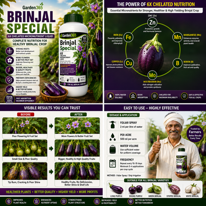 Brinjal Special – 6X Chelated Micronutrient Liquid with EDTA Chelated Zn + Fe + Mn + Cu + B + Mo for Vigorous Growth, Better Flowering, Improved Fruit Set, Enhanced Shine, Higher Yield & Quality