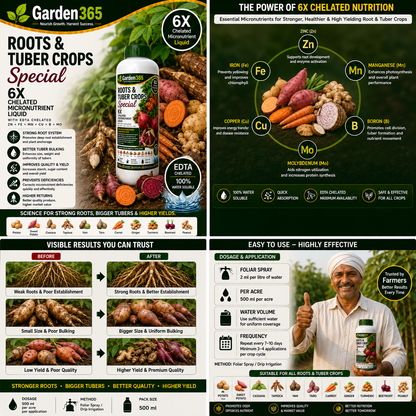Roots & Tuber Crops Special – 6X Chelated Micronutrient Liquid with EDTA Chelated Zn + Fe + Mn + Cu + B + Mo for Strong Root Development, Bigger Tubers, Better Quality & Higher Yield