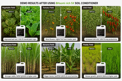 Bhoomi Rich 5X Soil Conditioner for pH Balance & Organic Carbon Boost