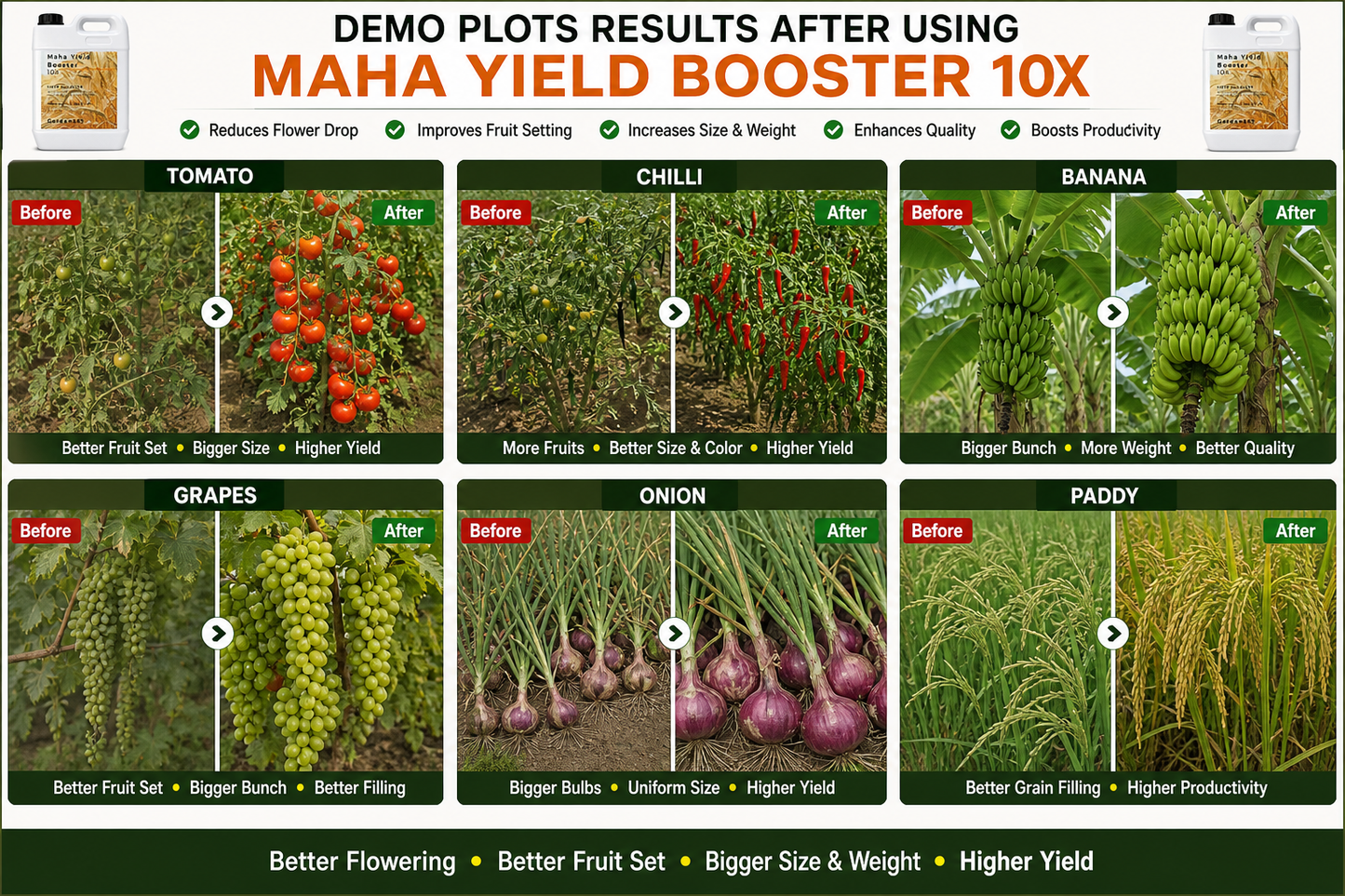Maha Yield Booster 10X Yield Enhancer for All Crops | Improves Fruit Size, Weight & Productivity