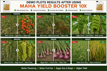 Maha Yield Booster 10X Yield Enhancer for All Crops | Improves Fruit Size, Weight & Productivity