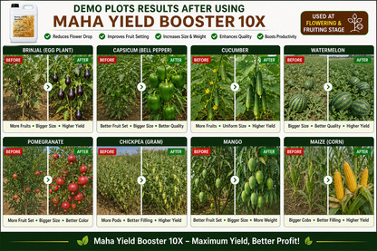 Maha Yield Booster 10X Yield Enhancer for All Crops | Improves Fruit Size, Weight & Productivity