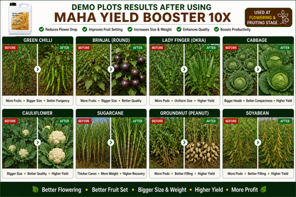 Maha Yield Booster 10X Yield Enhancer for All Crops | Improves Fruit Size, Weight & Productivity