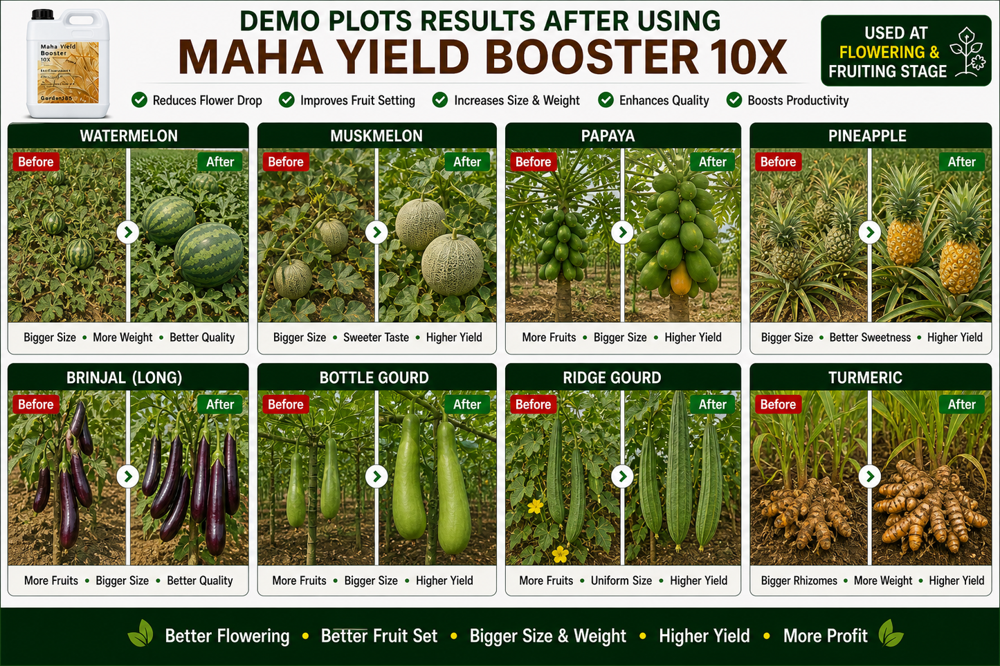 Maha Yield Booster 10X Yield Enhancer for All Crops | Improves Fruit Size, Weight & Productivity