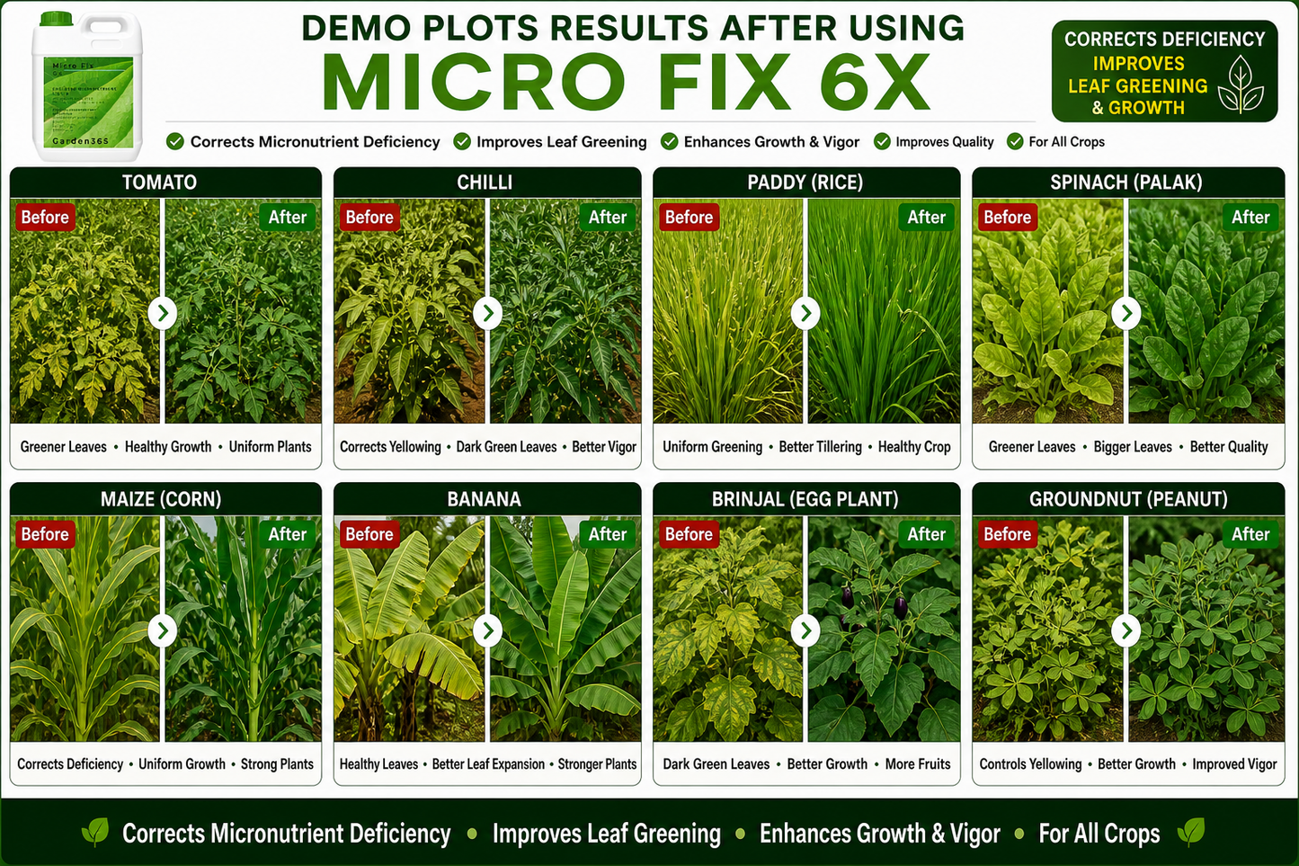 Micro Fix 6X Multi Micronutrient Liquid for All Crops | Corrects Deficiency & Improves Leaf Greening