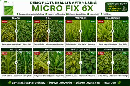 Micro Fix 6X Multi Micronutrient Liquid for All Crops | Corrects Deficiency & Improves Leaf Greening