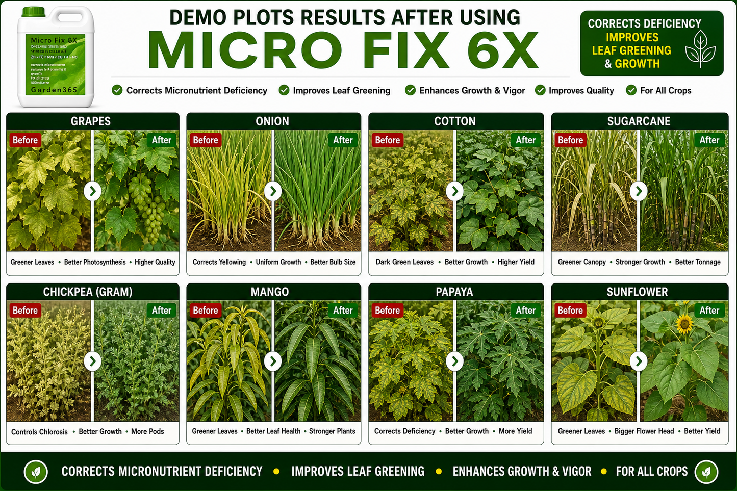 Micro Fix 6X Multi Micronutrient Liquid for All Crops | Corrects Deficiency & Improves Leaf Greening