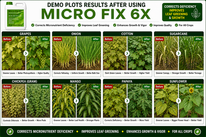 Micro Fix 6X Multi Micronutrient Liquid for All Crops | Corrects Deficiency & Improves Leaf Greening