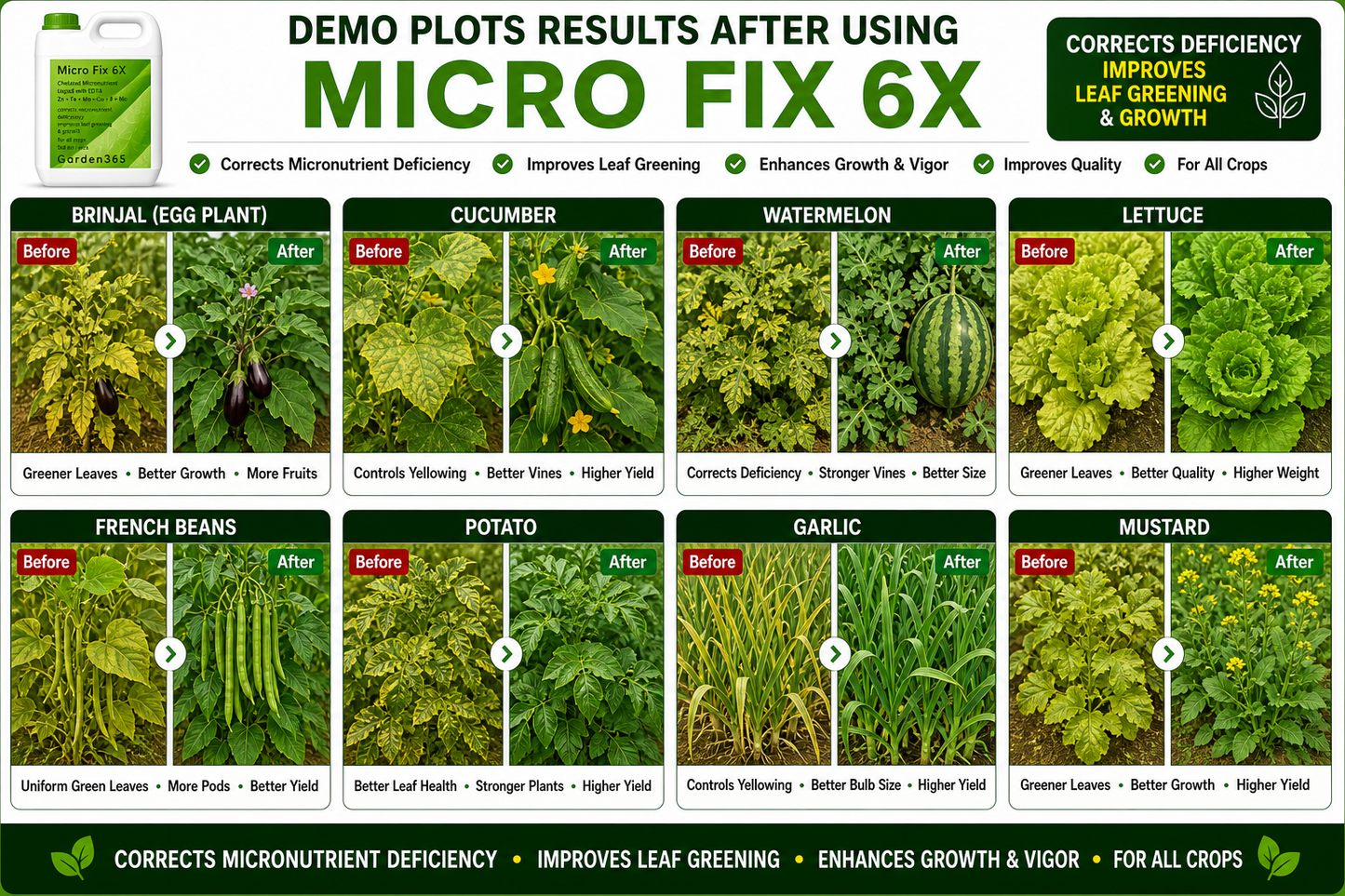 Micro Fix 6X Multi Micronutrient Liquid for All Crops | Corrects Deficiency & Improves Leaf Greening