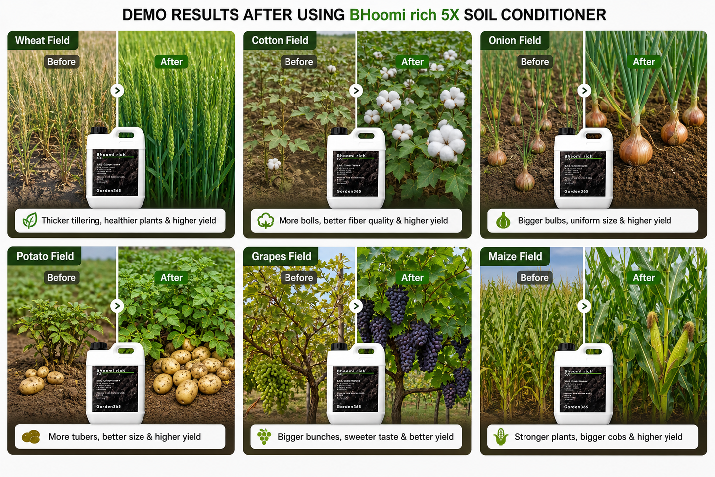 Bhoomi Rich 5X Soil Conditioner for pH Balance & Organic Carbon Boost