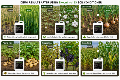 Bhoomi Rich 5X Soil Conditioner for pH Balance & Organic Carbon Boost
